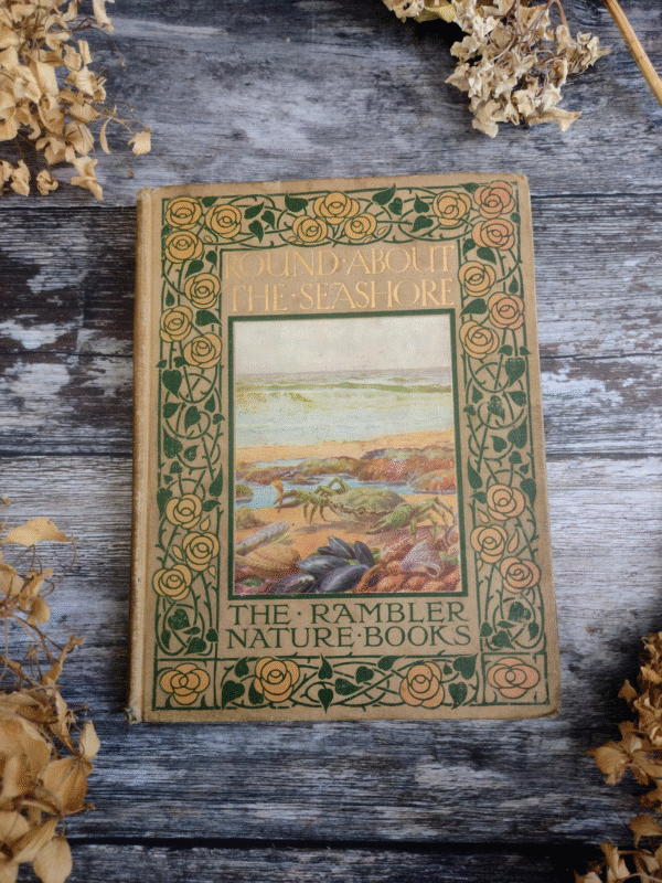 “Round About the Seashore” – Antique Illustrated Nature Guide